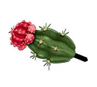NOLITOY Piquet Décoratif Cactus pour Jardin Ornament De Sol Inséré pour Embellir Cour Et Allée Décoration Extérieure