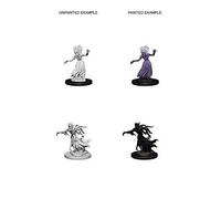 Nolzurs Marvelous Unpainted Miniatures Wraith &amp Specter