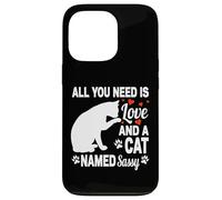 Nom de Chat personnalisé Sassy Mignon Chaton Amoureux des Animaux Coque pour iPhone 13 Pro