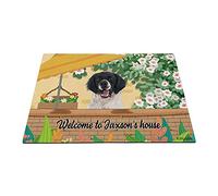 Nom De Chien Personnalisé, Bienvenue dans La Maison du Chien De Bretagne, Jardinage De Plantes À Fleurs, Pare-Soleil Paillasson De Bienvenue Tapis De Porte Tapis De Bain 40X60Cm