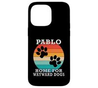 Nom de Famille Pablo Home for Wayward Dogs Coque pour iPhone 14 Pro Max