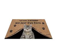 Nom Personnalisé du Chien, My Love Dog Cat, Qui Est en Charge, Nous Vivons Juste Ici Tapis De Porte Doux Tapis De Bain Antidérapant Paillasson De Bienvenue pour D'Entrée Bain Salon 40X60Cm