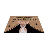 Nom Personnalisé du Chien, My Love Dog Chihuahua, Qui Est en Charge, Nous Vivons Juste Ici Paillasson De Bienvenue Confortable Paillasson D'Entree Anti-Poussière Tapis De Bain 40X60Cm