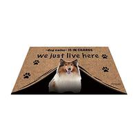 Nom Personnalisé du Chien, My Love Dog Rough Collie, Qui Est en Charge, Nous Vivons Juste Ici Tapis De Porte Tapis De Bain Anti-Poussière Paillasson D'Entree pour Terrasse Intérieur Salon 40X60Cm