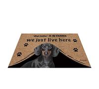 Nom Personnalisé du Chien, My Love Dog Teckel, Qui Est en Charge, Nous Vivons Juste Ici Tapis De Porte Anti-Poussière Paillasson De Bienvenue Antidérapant Paillasson D'Entree 40X60Cm