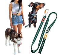 Nomadog Trailblazer Laisse Main Libre pour Chien - Multiposition, Double Mousqueton, Réglable Jusqu’à 240 cm, Réfléchissante - Laisse pour Courir avec Son Chien