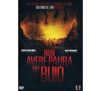 Non avere paura del buio