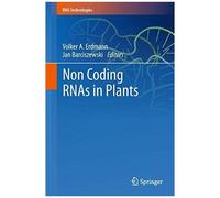Non Coding Rnas In Plants