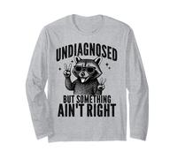 Non diagnostiqué mais Quelque Chose n'est Pas Correct Sarcasme Raton Laveur Meme Manche Longue