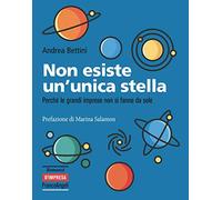 Non esiste un'unica stella. Perché le grandi imprese non si fanno da sole