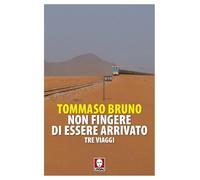 Non fingere di essere arrivato. Tre viaggi