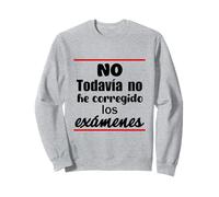 Non, Je n'ai Pas Encore corrigé Les examens Sweatshirt