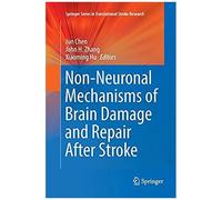 Non-Neuronal Mechanisms Of Brain Damage And Repair After Stroke