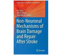 Non-Neuronal Mechanisms Of Brain Damage And Repair After Stroke