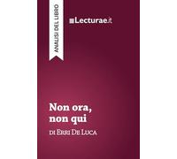 Non ora, non qui - Erri De Luca (analisi del libro)