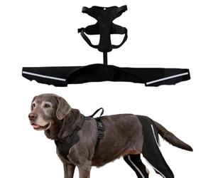 Non-Slip Lift Harness with Reflective Strap | Breathable Dog Stair Helper,for Old Joint Injuries Torn Limping Osteoarthritis Paralysis Walking