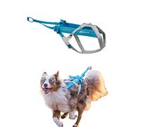 Non-stop dogwear Freemotion Harness 5.0 est Un Harnais de Traction pour Chien pour Les Sports comme la Course, Le vélo et Le Ski avec Les Chiens, Harnais Professionnel réglable. Bleu/Gris, Taille 4
