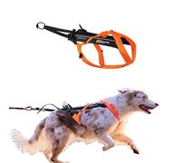 Non-stop dogwear Freemotion Harness 5.0 - Harnais de traction pour chien - Pour sports comme la course, le vélo et le ski avec chiens - Harnais professionnel réglable pour chien - Orange/noir - Taille