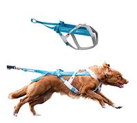 Non-stop dogwear Freemotion Harness 5.0 est Un Harnais de Traction pour Chien pour Les Sports comme la Course, Le vélo et Le Ski avec Les Chiens, Harnais Professionnel réglable. Bleu/Gris, Taille 5