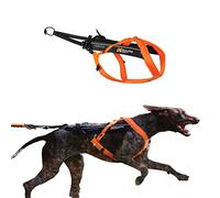 Non-stop dogwear Freemotion Harness 5.0 est Un Harnais de Traction pour Chien pour Les Sports comme la Course, Le vélo et Le Ski avec Les Chiens, Harnais Professionnel réglable. Orange/Noir, Taille 9