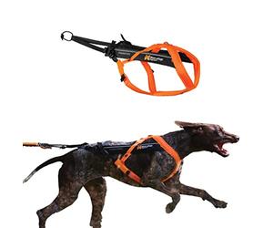 Non-stop dogwear Freemotion Harness 5.0 est Un Harnais de Traction pour Chien pour Les Sports comme la Course, Le vélo et Le Ski avec Les Chiens, Harnais Professionnel réglable. Orange/Noir, Taille 8