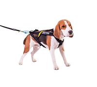 Non-Stop dogwear - Harnais Canicross Freemotion pour Chien - Taille 4
