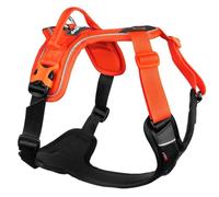Non-Stop dogwear Harnais de Ramble - Orange - Laisse et harnais de tous les jours - Taille XL