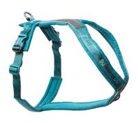 Non-Stop Dogwear Harnais Line 5.0, bleu sarcelle - 8