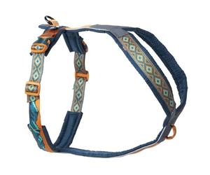 Non-Stop Dogwear Harnais Line 5.0 Rachel Pohl Edition, bleu sarcelle/chêne - 5
