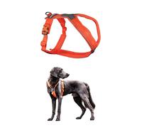 Non-stop dogwear Line Harness 5.0, Harnais rembourré pour Petits, Moyens et Grands Chiens, conçu pour la randonnée, Le Sport et la Vie Active de Tous Les Jours (Orange, Taille 4).