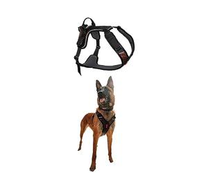 Non-Stop dogwear Rock Harness - Harnais pour Chien