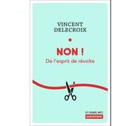 Non ! Vincent Delecroix (Auteur)