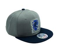 Noname Harry Potter - Serdaigle - Casquette Snapback