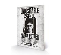 Noname Harry Potter - Undesirable No1 - Impression Sur Bois 20x29.5 Noir