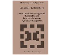 Noncommutative Algebraic Geometry And Representations Of Quantized Algebras