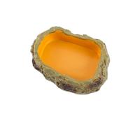 NONDK 1 PCS de Nourrissage pour Plat de Terrarium pour Nourriture pour comme Illustré, en Résine, pour Grenouille, Tortue, Dragon Barbu, Tortue, XS.