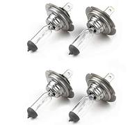 NONDK 4 Ampoules de de Voiture H7 12V / 55W Halogène Lampe Standard