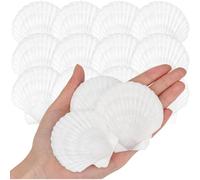 NONDK de Pétoncle de Mer 25 Pièces pour L'Artisanat Bricolage Peignant la Fête à Thème Océan.