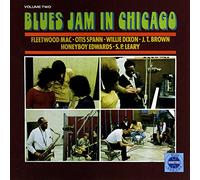 None - Blues Jam in Chicago 2