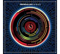 Pendulum - In Silico