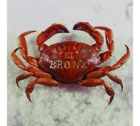 None - Mariachi El Bronx (I)