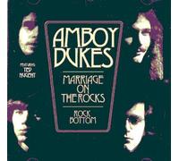 None - Marriage on the Rocks / Rock Bottom