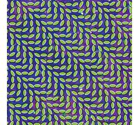 None - Merriweather Post Pavilion