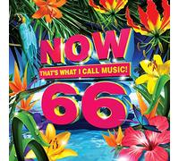 VARIOUS - Now 66 (Various Artists)