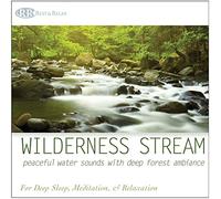 None - Wilderness Stream: Peaceful Water Sounds with Deep Forest Ambiance (Nature Sounds, Deep Sleep Music, Meditation, Relaxation Rivers & Babbling Brooks)