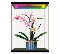 NONEMEY Vitrine pour Collection en Acrylique avec LED RGB avec télécommande - Boîte Vitrine Anti-Poussière pour Figurines, Lego, Pop, Miniatures et Modèles(Noir,35x30x44 cm)