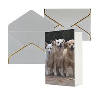 NONHAI Cartes de vœux avec enveloppes « Thinking of You » - Carte vierge avec trois chiens - Cartes de vœux pour anniversaire, fête prénatale, félicitations, mariage, remerciements, toutes occasions