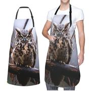 NONHAI Tabliers de cuisine pour homme et femme - Tablier de chef imperméable avec poches - Motif hibou sur une branche - Noir - Taille unique, Noir, taille unique