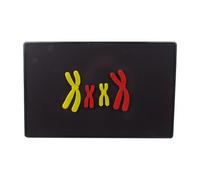 NonMiFyR Modèle Chromosomique Portable avec Composants de La Méiose, Facile à Assembler et Adapté à L'enseignement.