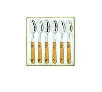 Nontron – Coffret service 6 cuillères à café – Certains et Tube